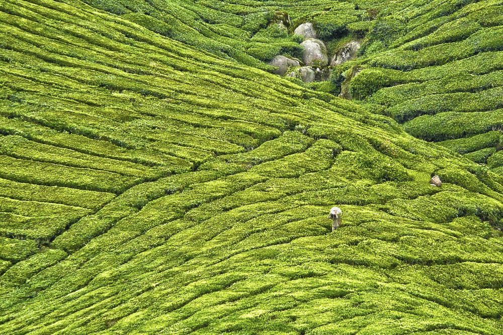 11. Platz Peter Marion